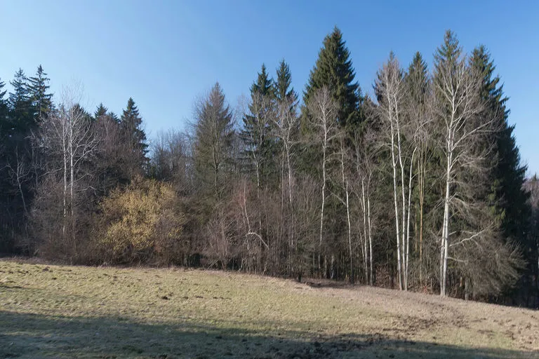Přírodní rezervace Vápenice